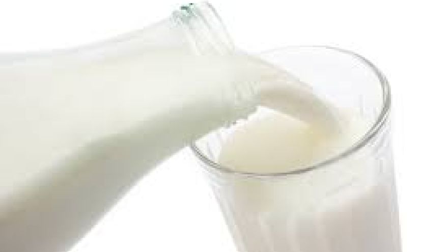 Picie kobiecego mleko sposobem na zdrowie i  długowieczność?