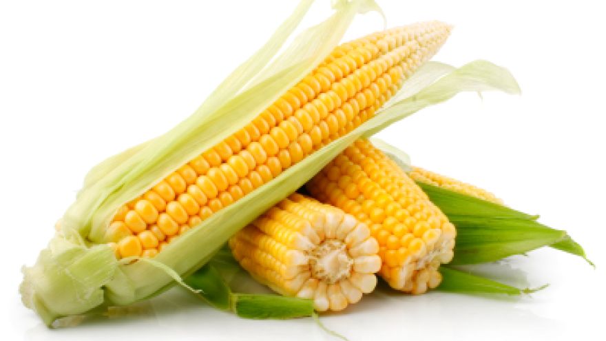 Zdrowa żywność Kukurydza &#8211; złoto z Meksyku
