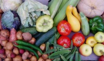 Dieta a procesy starzenia