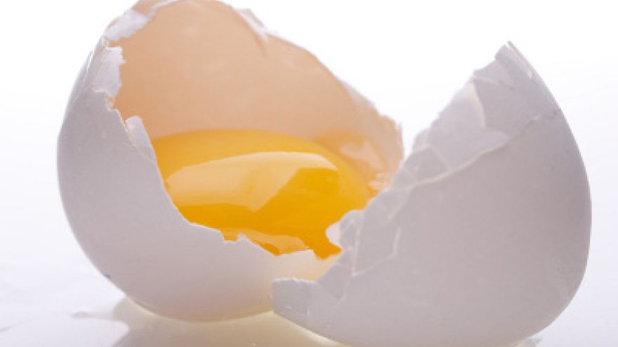 Jajka w diecie Jajo pod lupą