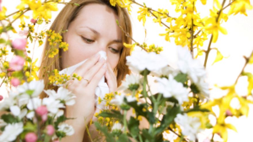 Alergia czy grypa?