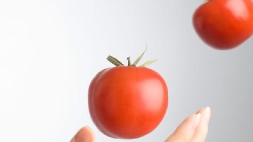 Gmo Co to jest GMO? Wady i zalety