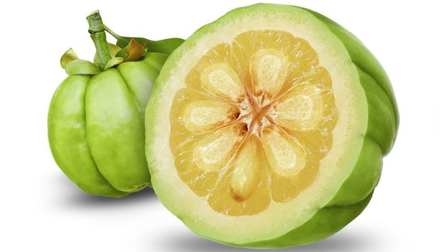 6 Garcinia Cambogia Actives - Najlepszy Ekstrakt z Garcinia Cambogia w Kapsułkach!