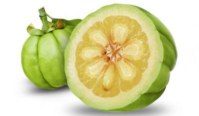 Garcinia Cambogia Actives - Najlepszy Ekstrakt z Garcinia Cambogia w Kapsułkach!