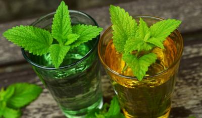 Herbal trend w SPA, czyli zabiegi na bazie ziół