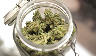 Medycyna niekonwencjonalna: Czy medyczna marihuana jest pomocna w chorobach tarczycy?