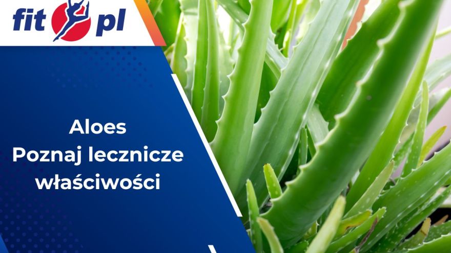 Aloes 
Aloes: Naturalne źródło zdrowia i piękna. Poznaj jego lecznicze właściwości