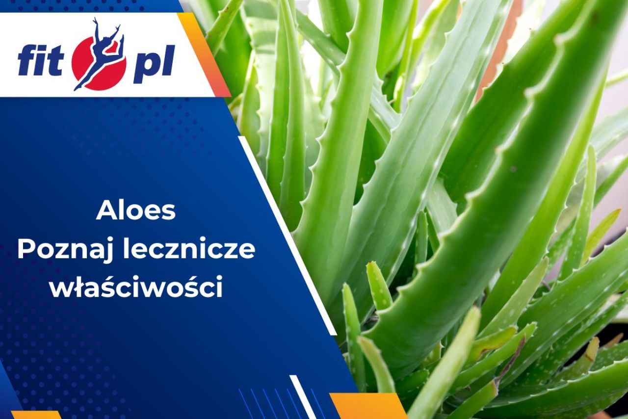 
Aloes: Naturalne źródło zdrowia i piękna. Poznaj jego lecznicze właściwości