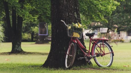 Aktywna Wielkanoc - pomysły na rodzinne aktywności fizyczne podczas świąt