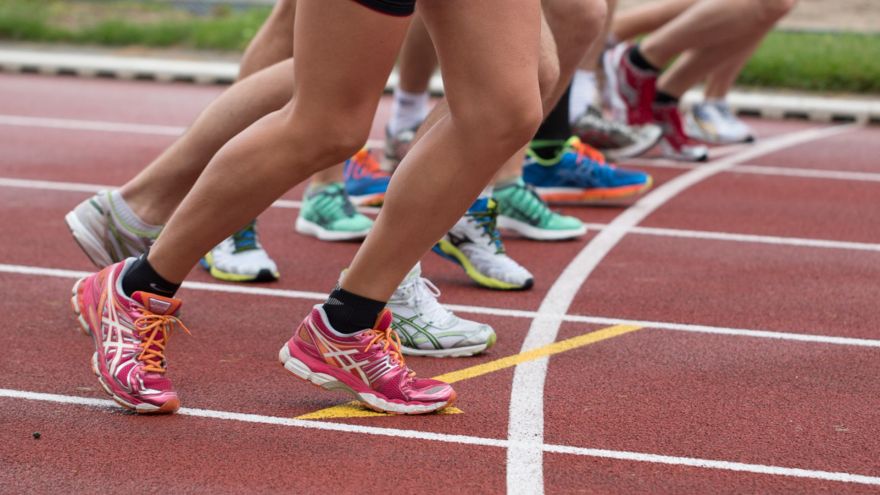 Aktualności PZU Sport: Sześć miesięcy dynamicznych zmian i ambitnych planów na przyszłość