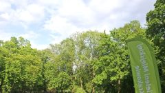 Aktualności My Fitness Place zaprasza na darmowe treningi w krakowskich parkach – ruszyła letnia edycja plenerowych zajęć!