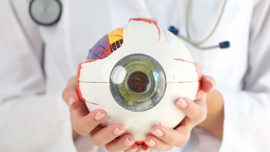 Zdrowie Odwarstwienie siatkówki – działaj jak najszybciej!