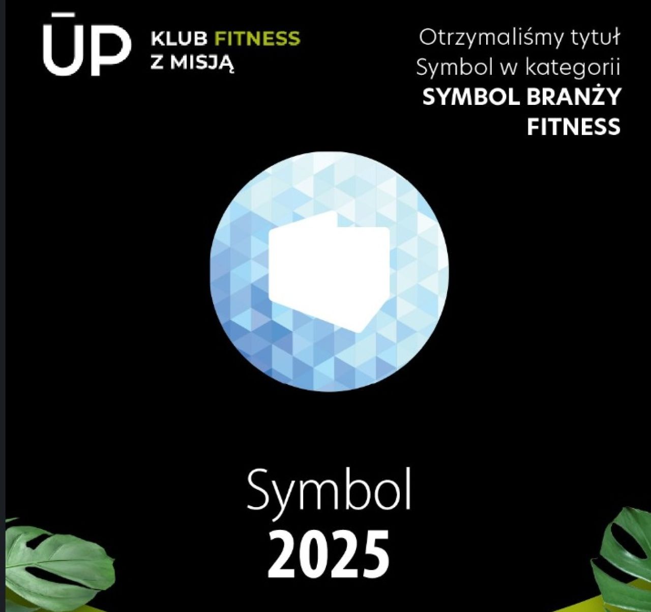 Up Fit S.A. z tytułem „Symbol Branży Fitness 2025”. Nagroda zostanie wręczona podczas Forum Wyzwań Gospodarczych w Katowicach
