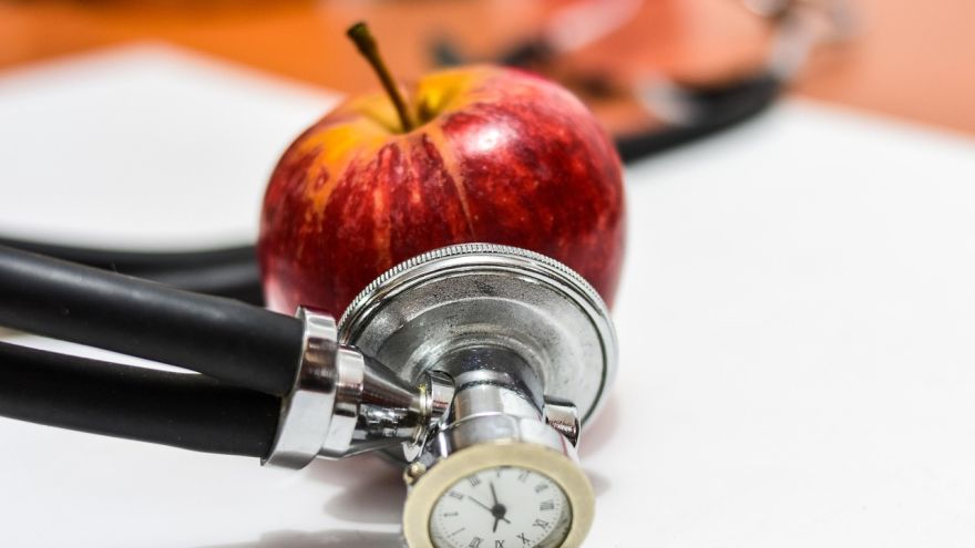 Dieta Profesjonalne wsparcie dla trenerów i dietetyków – oferta hurtowni suplementów diety olivit.pl