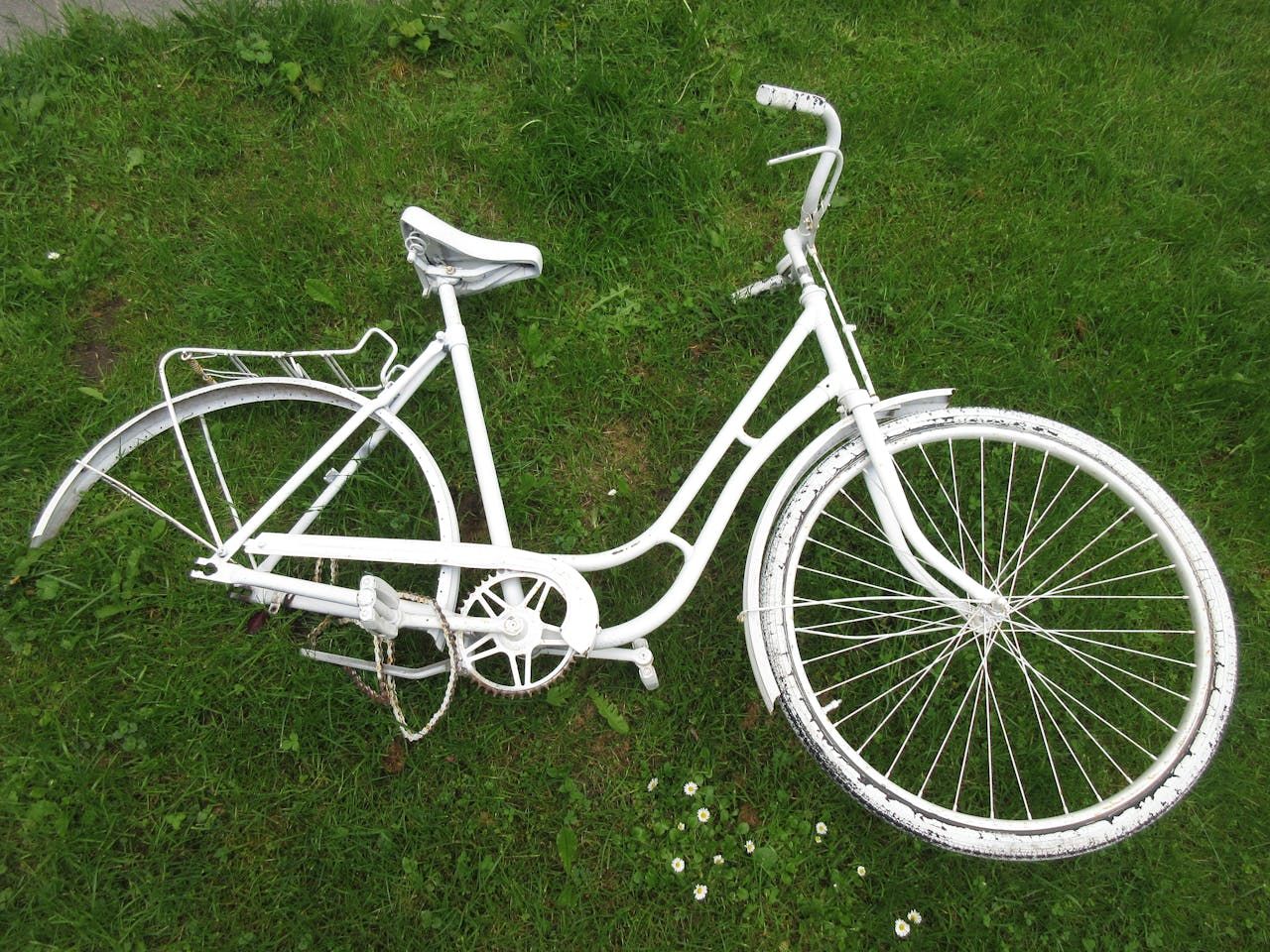 Rower w Polsce – więcej niż rekreacja. Jak zmienia się rynek jednośladów?