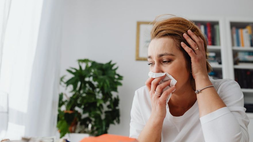 Zdrowie Alergia czy przeziębienie? Jak odróżnić objawy wiosną i skutecznie zadbać o zdrowie