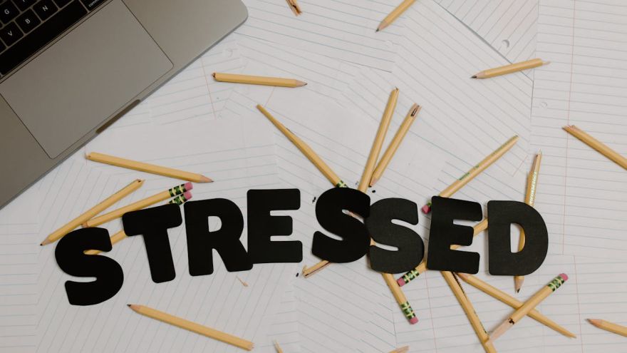 Wellness Stres przed egzaminem – jak opanować napięcie i wykorzystać je na swoją korzyść?