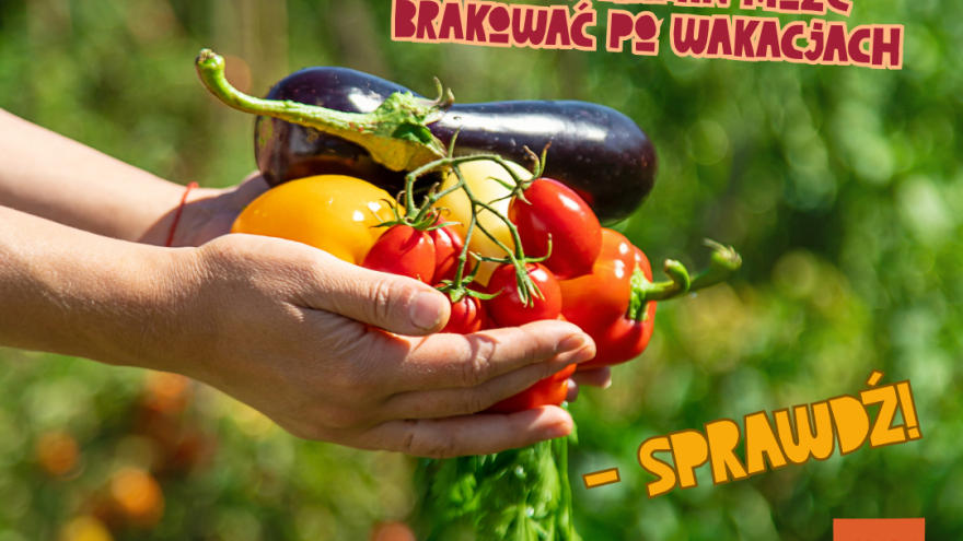 Dieta Czy wiesz, że tych witamin może brakować po wakacjach - sprawdź