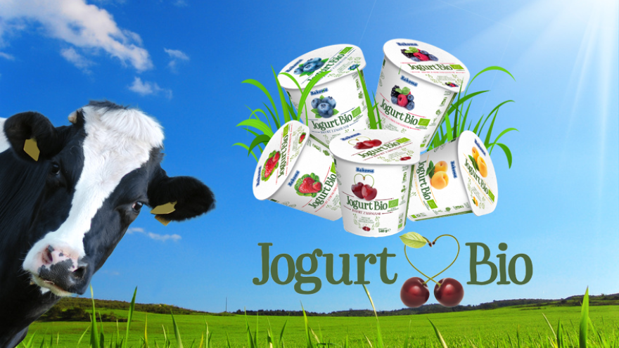 Jogurt BIO – cóż to za nowość?