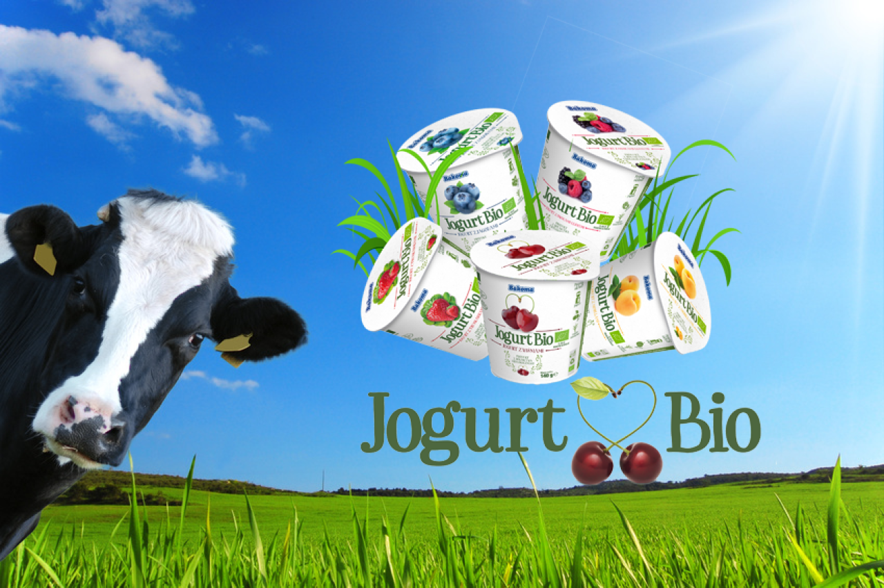 Jogurt BIO – cóż to za nowość?