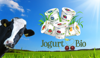 Jogurt BIO – cóż to za nowość?