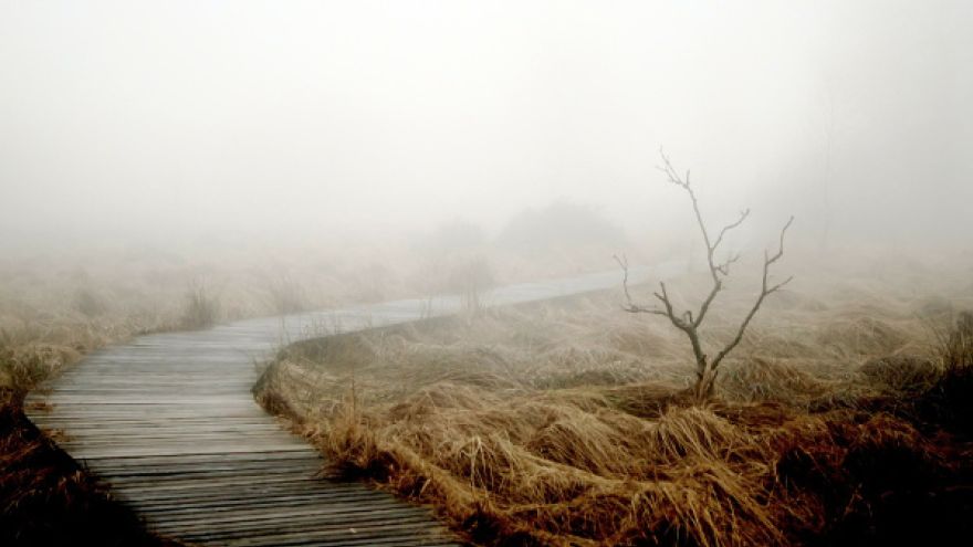 Psychika Europejski Dzień Walki z Depresją