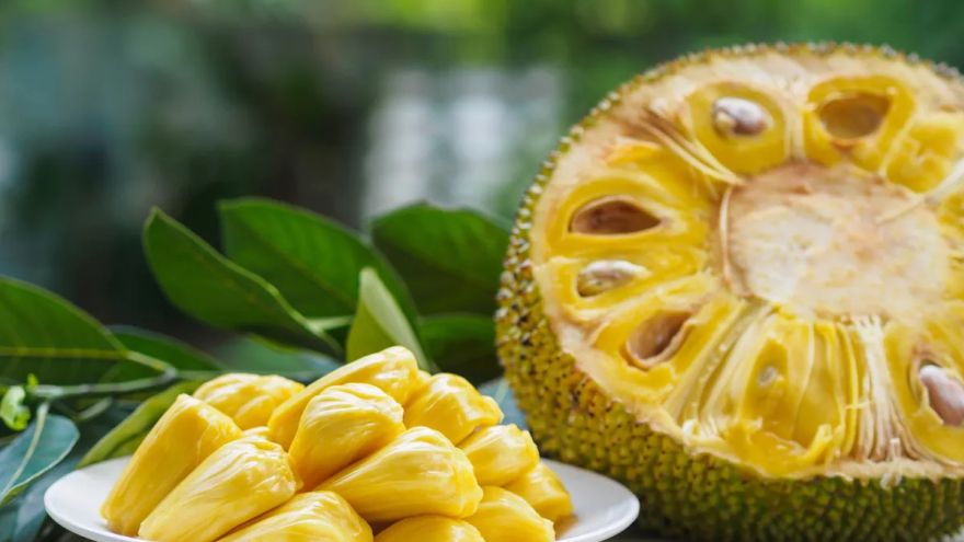 Wegetarianie Jackfruit - egzotyczny owoc - odkrycie dla wegan i wegetarian