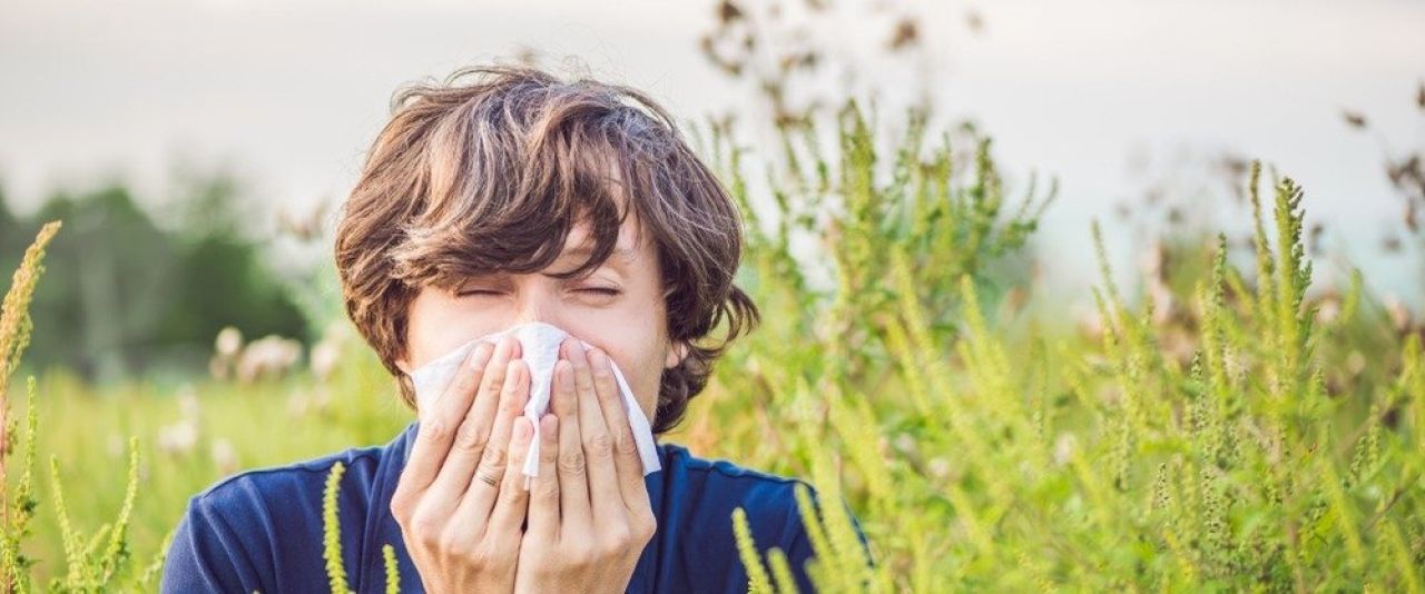 5 (nieoczywistych) rad dla alergików