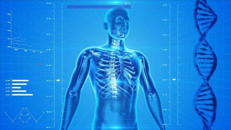 Jak  rozpoznać i przeciwdziałać Osteoporozie? Kto jest na nią szczególnie narażony?
