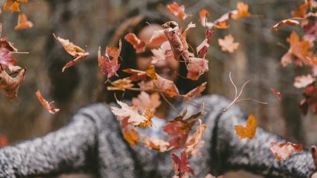 Jak zachować formę jesienią? Ćwicz na powietrzu i wprowadź odpowiednią dietę
