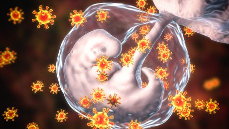 Różyczka w ciąży -  jak możesz sobie pomóc?