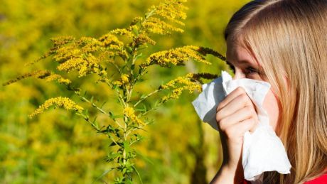 Jak poradzić sobie z wiosenną alergią ?