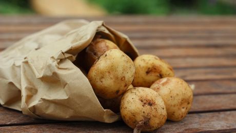 Ziemniaki w diecie osób aktywnych fizycznie
