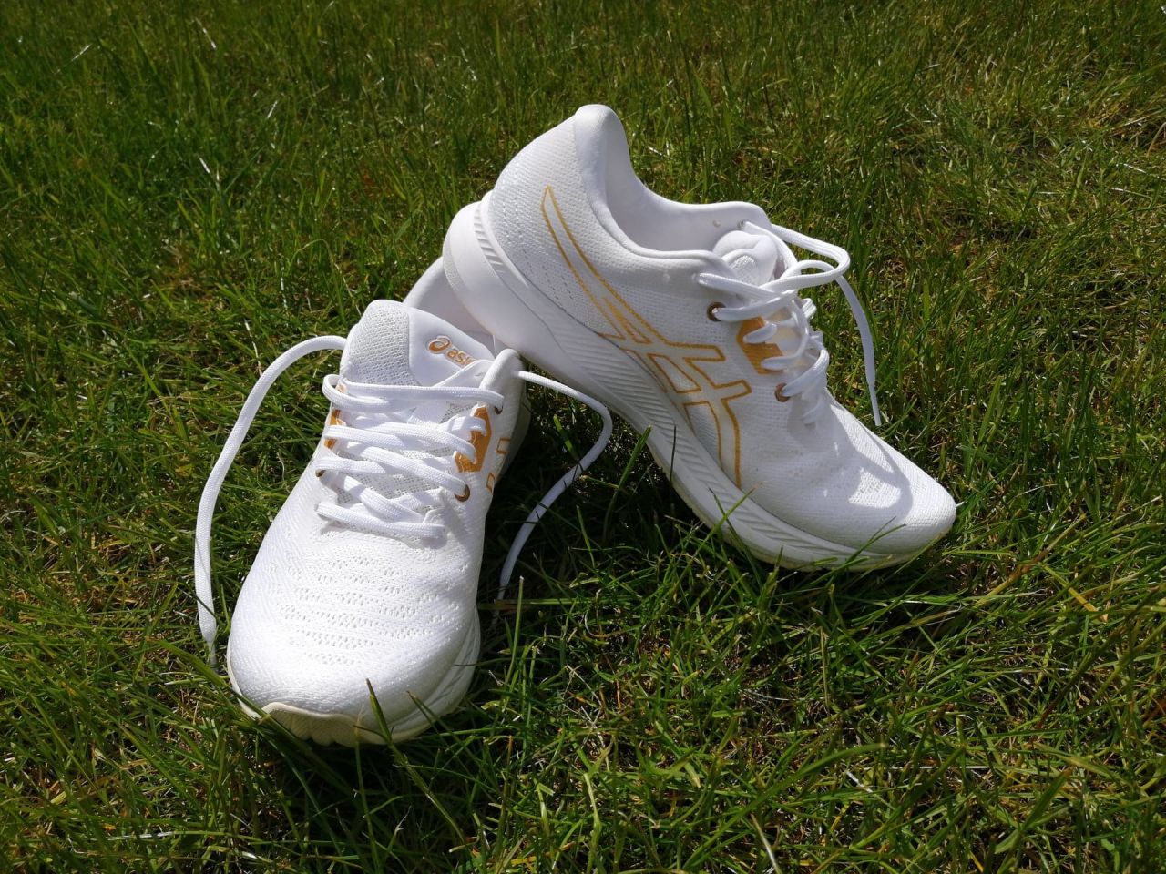 Buty Asics EVORIDE - nowy wymiar butów do biegania